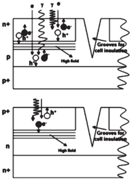 208 Photodiodes - World Activities in 2011 Fig. 31. Photon and electron avalanche induced in the two silicon configurations (p + nn + and n + pp + ).