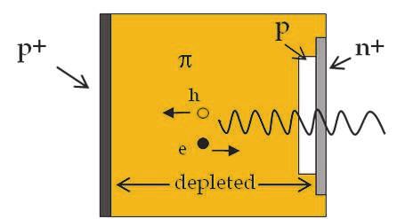 Silicon Photo Multipliers Detectors Operating in Geiger Regime: an Unlimited Device for Future Applications 185 Fig. 1. p-n junction with reversed bias. Energy band diagram is also shown. 2.