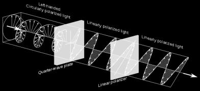 Glasses restrict what type of light reaches each eye Two types: Linear