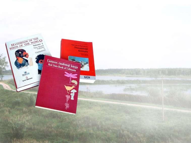 Protection status International Red Book Lithuanian Red Book (3 R) Bern convention EU Bird Directive (Annex I)