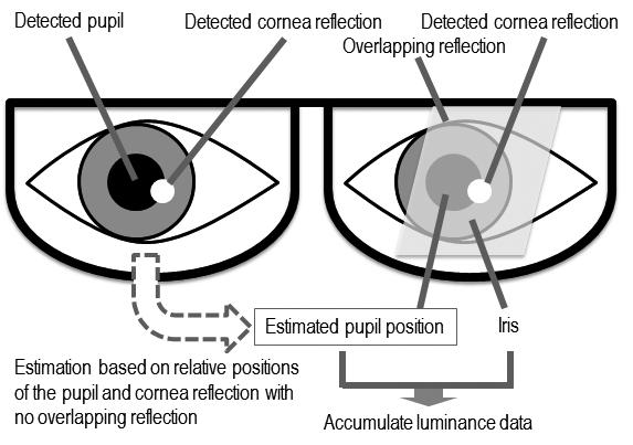 Development of Gaze Detection Technology toward Driver's State Estimation and the luminance of the iris around the pupil are accumulated.