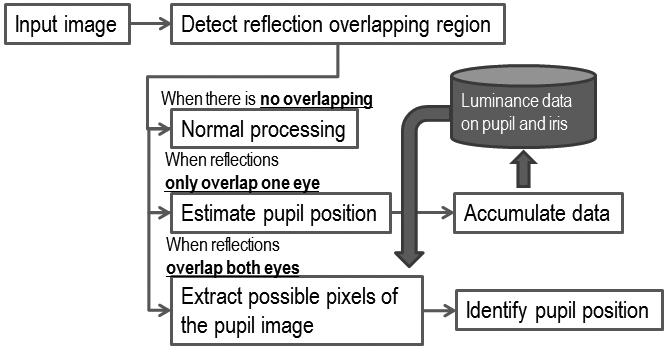 10 Luminance Changes of Eye Region Due to Reflections on Glasses 4.