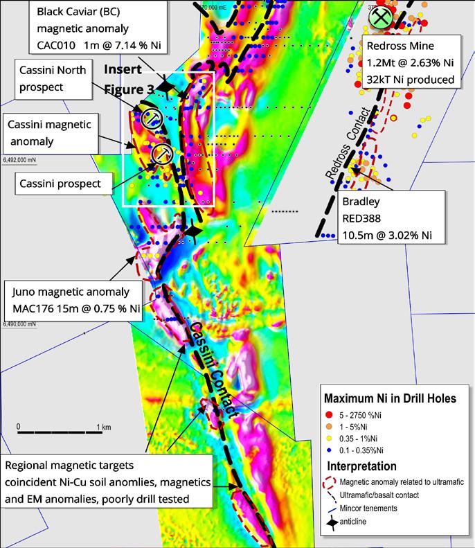 Greater Cassini Exploration Potential Further positive results from the Cassini prospect and recent regional exploration have substantially upgraded the nickel sulphide prospectivity around the