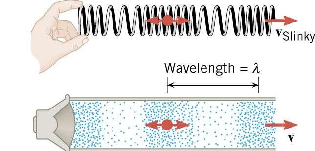 Both the wave on the Slinky and the sound wave are longitudinal.