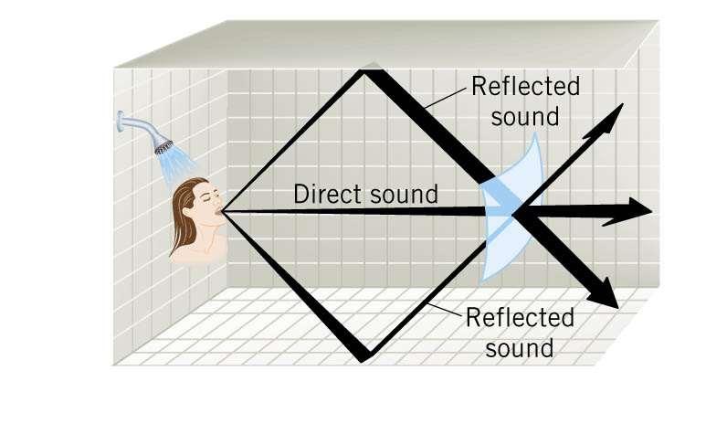 Conceptual Example 8. Reflected Sound and Sound Intensity Suppose the person singing in the shower produces a sound power P. Sound reflects from the surrounding shower stall.