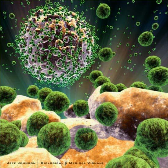 Virus cross over Bio terror