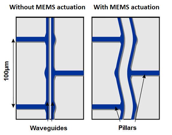 In our proposed actuation scheme, voltage of the same polarity is applied to the two waveguides, and the bottom substrate (~3 μm below the waveguides) is grounded.