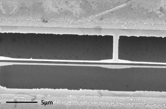 Figure 7. SEM image of a section of the released dual InP air-bridge waveguides suspended in air. The air gap between the waveguides is clearly visible. 5.