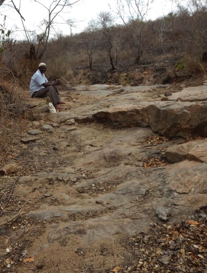 Bagamoyo Prospect cont d 3.5km x 700m zone of outcropping graphitic gneiss at Central lode.