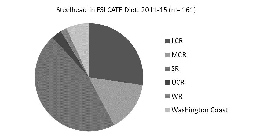 Figure 9. Genetic stock of origin for steelhead trout and coho salmon in the diet of Caspian terns (CATE) nesting on East Sand Island (ESI) in the Columbia River estuary.