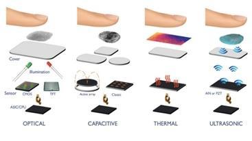 1.1. Fingerprint Sensors: Fingerprint sensors come in various shapes and sizes, but generally into two categories [5]: Touch sensor: The user hold the finger on the sensor surface.