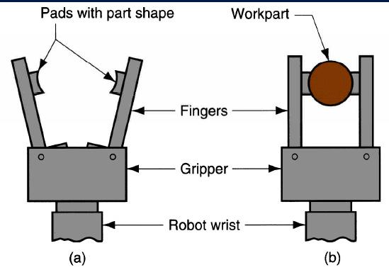 2. Tools: a robot is required to manipulate a tool to perform an operation on a work part. Here the tool acts as end-effectors.
