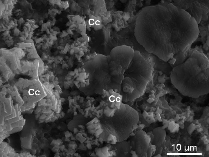 Figure 4 - Scanning electron micrograph (SEM) of a mortar surface with efflorescence. The rhomboedric morphology of the minerals is typical for calcite, the most common species of CaCO 3 
