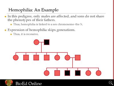 Example 1 X-linked recessive Hemophilia Only males are affected and sons do not share the