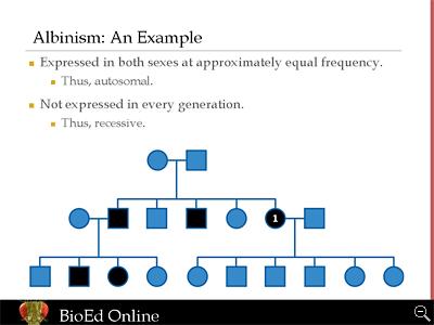 Example 4 Autosomal recessive Expressed in both sexes at approximately equal