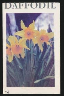 Scarce booklet, mint never hinged very fine....scott U$400 859 ** TDB41 1980s Dummy Test Booklet with Daffodil Cover. Complete booklet containing 4 panes of 10 small size blank test stamps.