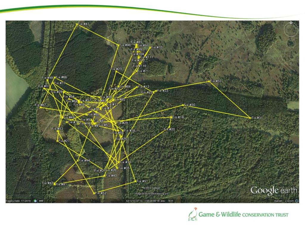 Before describing map, describe tag and the data we get Day-time Night-time Dusk (via logger) Feeding after