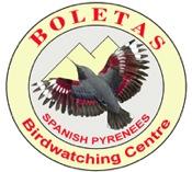 Birdwatching Holidays in Spain, Morocco & more BOLETAS Birdwatching centre 22192 Loporzano (Huesca) Spain tel/fax 00 34 974 262027 or 01162 889318 e.mail: jjsv@boletas.