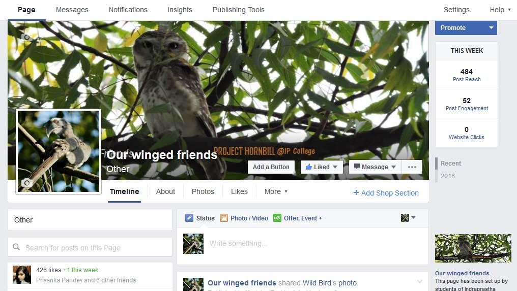 Facebook: Our Winged Friends A Facebook page was also created