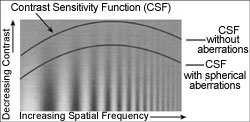 varying sensitivity to different spatial frequencies: The spatial interaction of luminances from an object and its surrounds