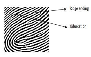 An Approach To Extract Minutiae Points From Enhanced Fingerprint Image Annu Saini Apaji Institute of Mathematics & Applied Computer Technology Department of computer Science and Electronics,
