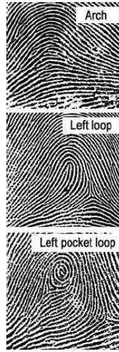 Figure 3: Fingerprint Recognition This methodology is most popular in the world. Many of the mobiles and industries are using this finger print technology.