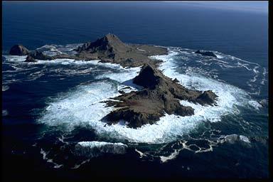 EXECUTIVE SUMMARY Executive Summary Current Status This document is the Final Management Plan for Gulf of the Farallones National Marine Sanctuary (GFNMS), resulting from a management plan review of