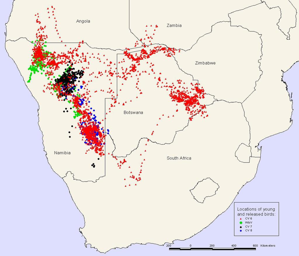 Figure 2: Locations at which two wild young vultures (CV6 and the