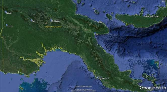 RBL Papua New Guinea - Huon Peninsula Itinerary 2 regal Emperor Bird-of-paradise.