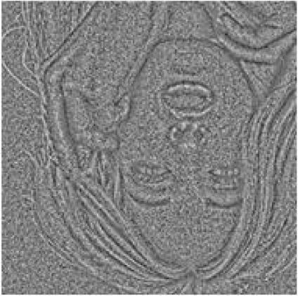 For the convenience in comparing the visual effects, we illustrate only the results of the restored Barbara image corrupted by different noise levels (σ 2 = 25, 100 and 225) in Fig. 5, Fig. 6 and Fig.