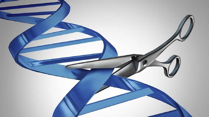 Complementary Technologies CRISPR/CAS9 Gene