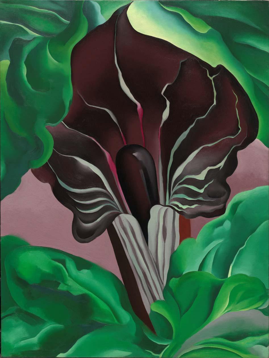 Jack-in-Pulpit No. 2, 1930 Oil on canvas, 40 x 30 in. (101.6 x 76.2 cm) National Gallery of Art, Washington, D.C.