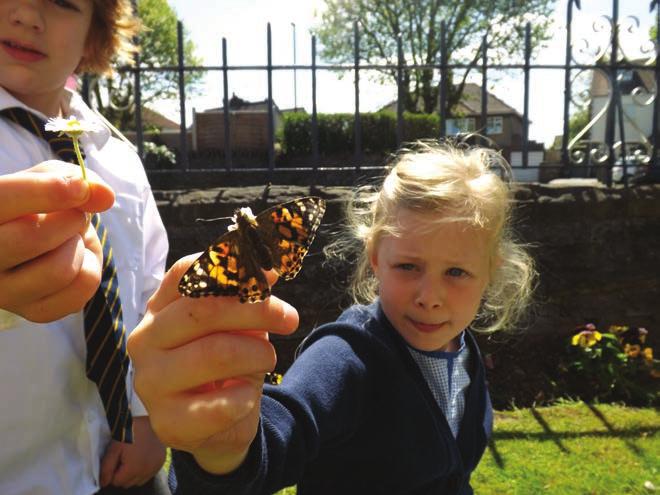 The children released their butterflies in the