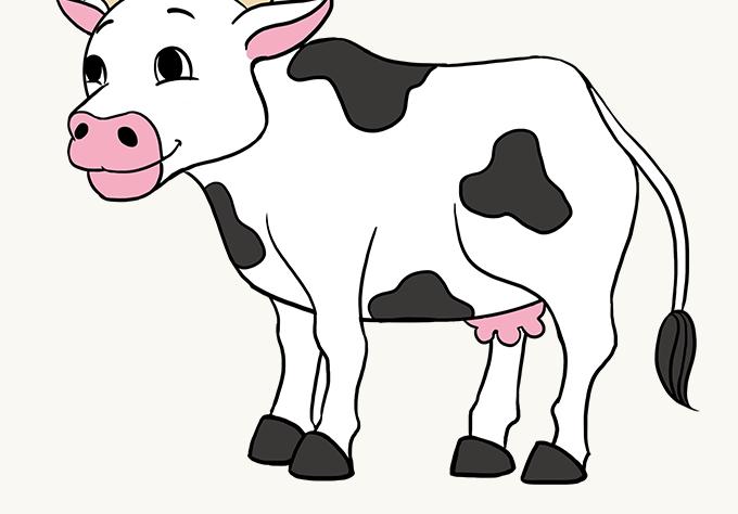How to Draw Cartoon Cow Easy Fast Cows are one of the most widely known animals in the world. They are raised on farms for meat, milk, dairy products, and leather.