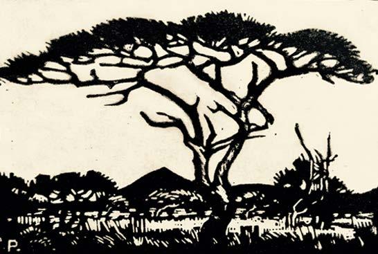 J.H PIERNEEF Tree Landscape, Signed