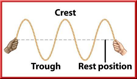 The Parts of a Transverse Wave high points are crests