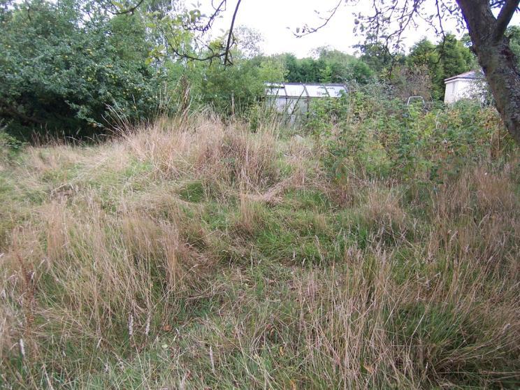 Suitable Reptile Habitat Overgrown gardens are often used by reptiles which may have originally been surviving at the bottom or edges of gardens.