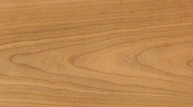 (sapwood) by its darker color, sometime referred to