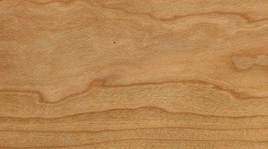 COLOR CONTRASTS (DISCOLORATION) Stains in wood substances.