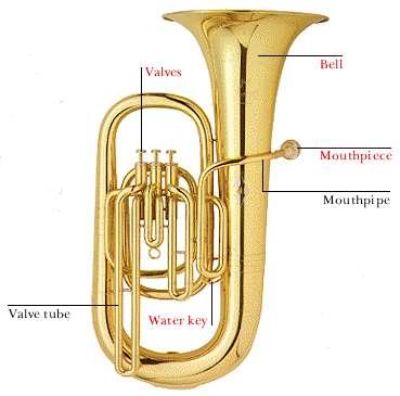 Tuba The Tuba is made out of brass and uses a mouthpiece as well. The Tuba like the French horn, Trumpet has 3 individual valves to create pitch.