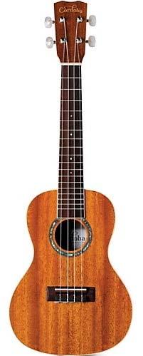 Ukulele: Resources for the Beginner Materials Available at the Library Ukuleles with tuners are available for checkout from the library.