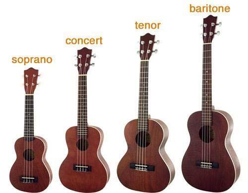 Types of Ukuleles The Soprano, Concert and Tenor ukuleles are usually tuned G C E