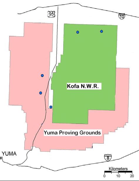 Study Area Southwestern Arizona Objective #1: Observations 1. Kofa National Wildlife Refuge 2. BLM lands Cameras 1.