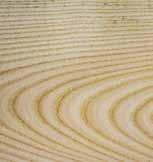 Soft Maple The growth rings found on soft maple are less distinct and lighter in color.