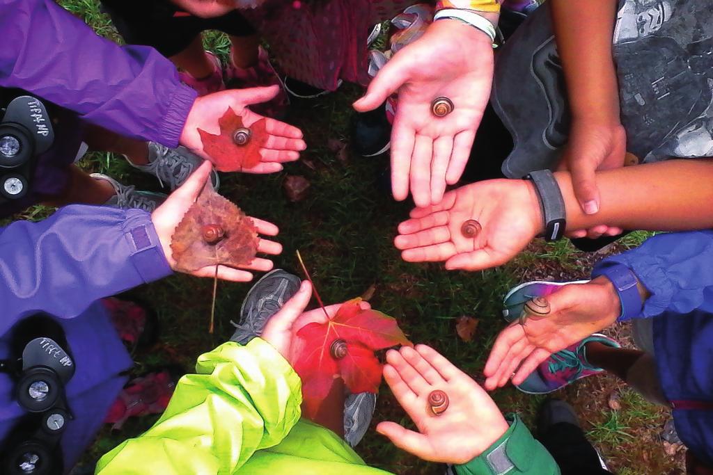 EARLY CHILDHOOD SUMMER DISCOVERY CAMPS Week 9 8/20-8/22 BEAKS, TWEETS, & FEATHERS This camp is for the birds! Together we ll search for real birds on the ground, in the trees, and up in the sky.