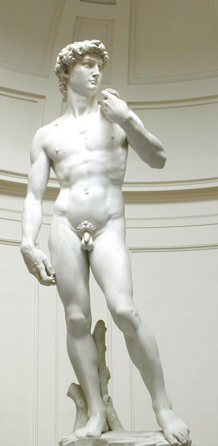 Michelangelo s David, 1501-04 Academia Gallery, Florence, marble Approx.