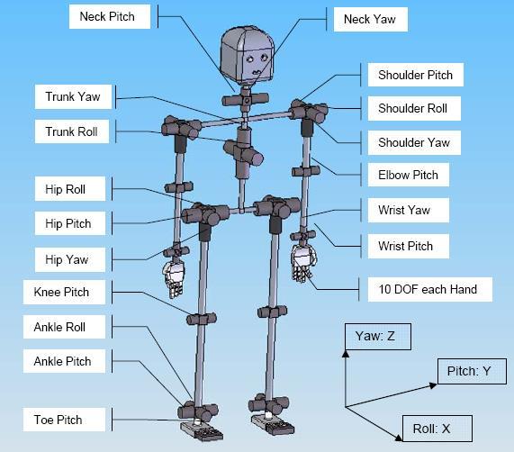 3 Blueprint of Humanoid Robot s Body Fig.1 shows a typical layout of the degrees of freedom in a humanoid robot.