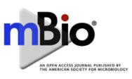 Open access: challenges established journals occamstypewriter.