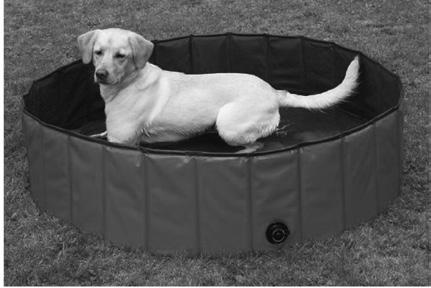 swimming pools to keep your pet happy at home.