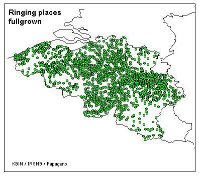 As shown by the following figure the coverage of ringing